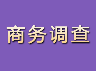 瓦房店商务调查